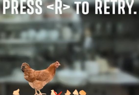 母鸡护蛋模拟器0