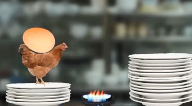 母鸡护蛋模拟器1