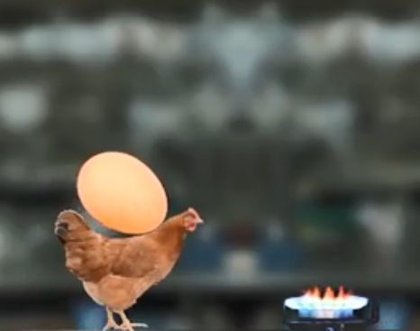 母鸡护蛋模拟器2