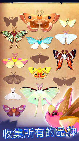 彩翼之星夜starlight1