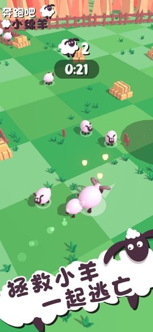 奔跑吧小绵羊0