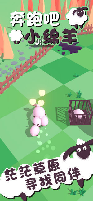 奔跑吧小绵羊4