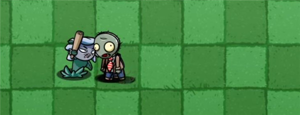 植物大战僵尸bt无赖花