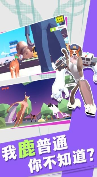 非常普通的动物们1