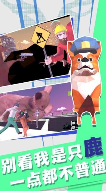 非常普通的动物们2