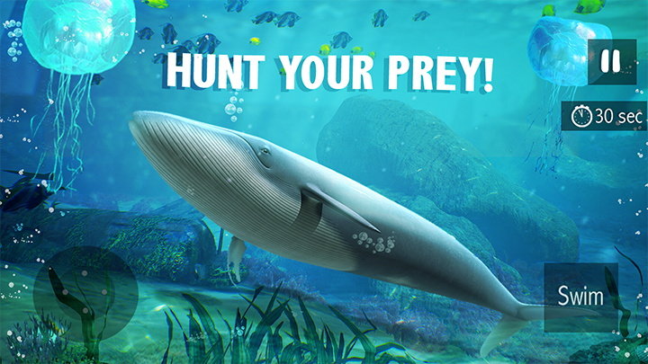 蓝鲸生存模拟器1