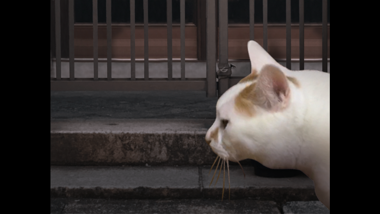 翌日猫之怪奇谭3