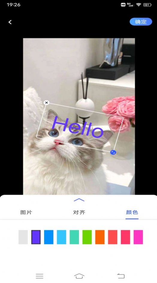 小猪翻译视频0