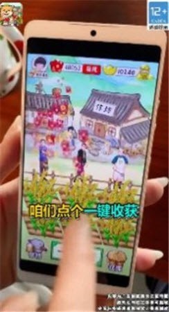 乡村小农院赚钱版1