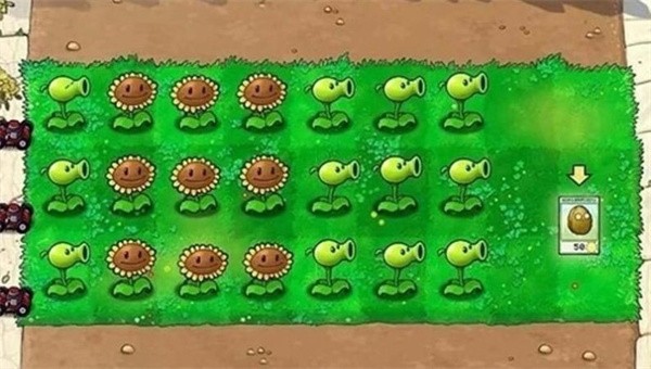 植物大战僵尸天空支线1