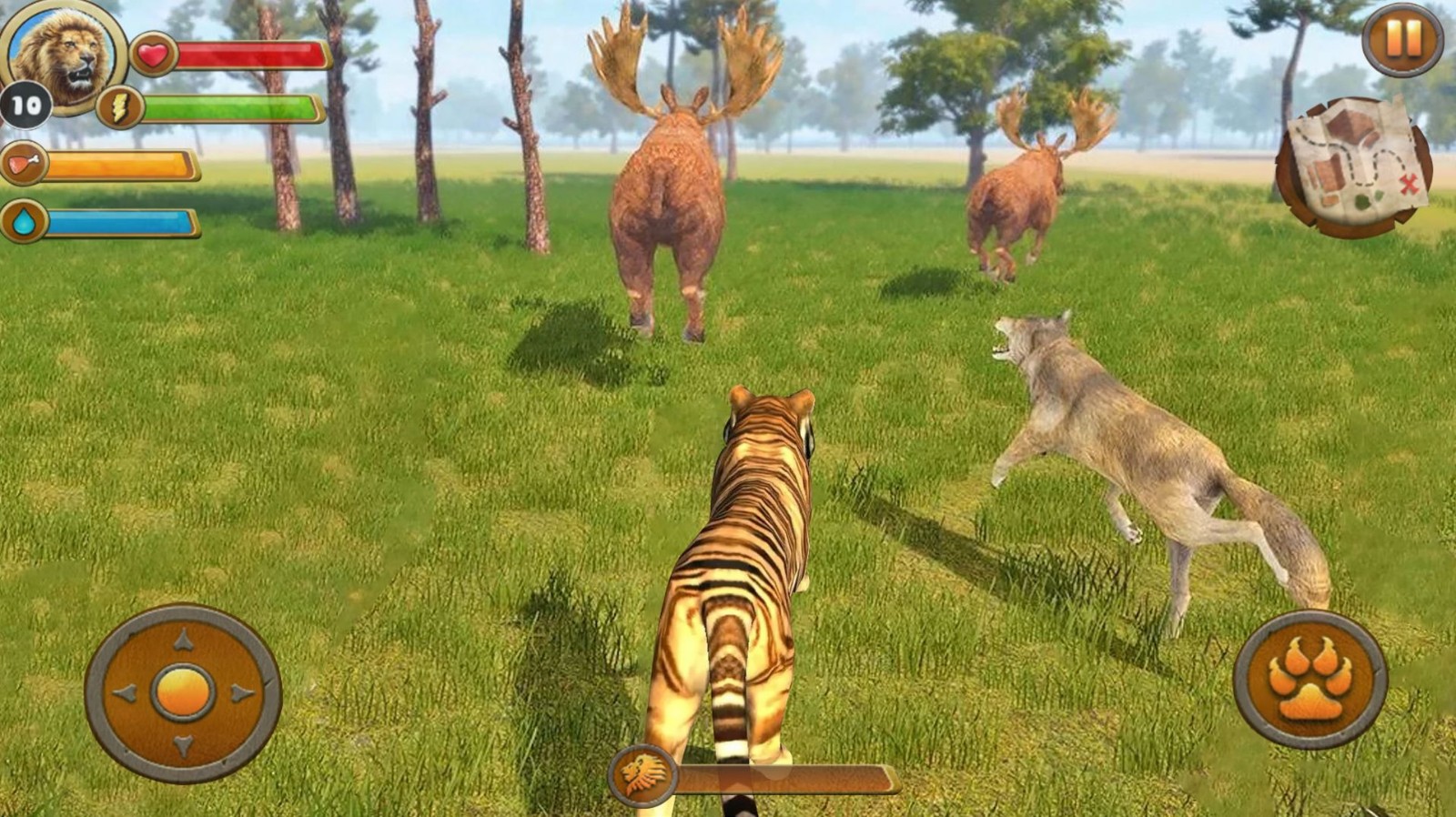 丛林老虎模拟器0