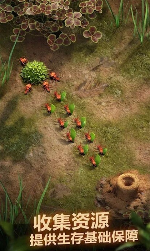 荒野蚂蚁模拟2