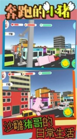奔跑的小猪1
