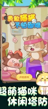 勇敢猫猫不怕困难赚钱版0