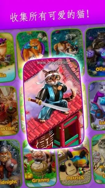 可爱的猫咪珍藏1