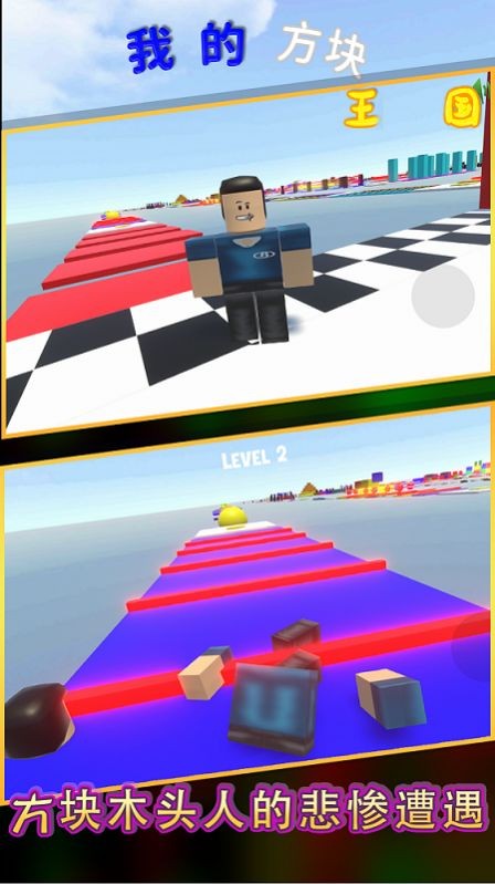 我的方块王国2