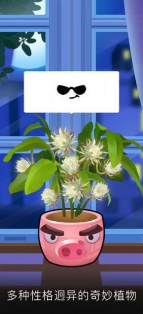 阳光花店赚钱版3