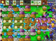 植物大战僵尸B版2
