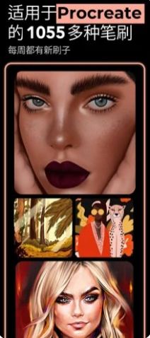 brushesforprocreat.apk