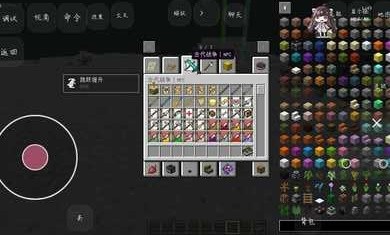 我的世界王权100天1