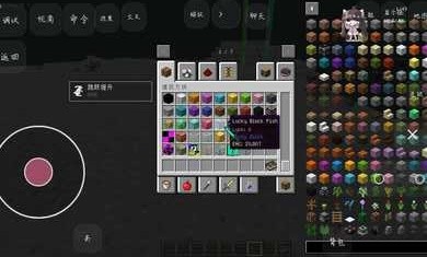 我的世界王权100天3