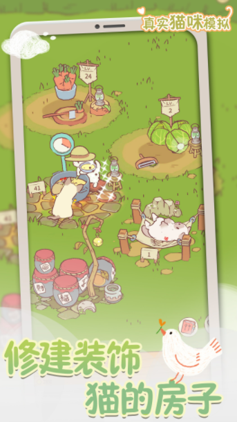 真实猫咪模拟2