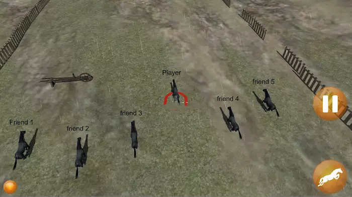 职业赛马 职业赛马