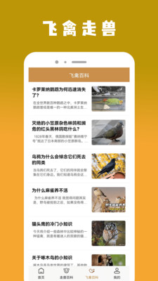 飞禽大全1