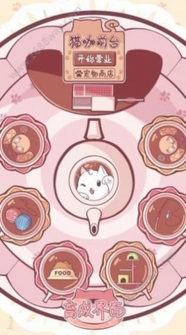 云撸猫咪 云撸猫咪