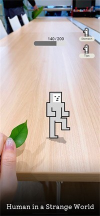 鹦鹉和你的声音玩耍2