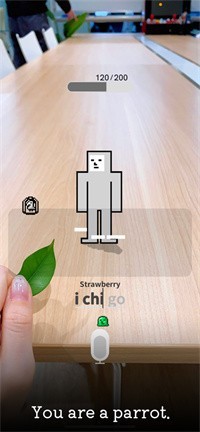 鹦鹉和你的声音玩耍3