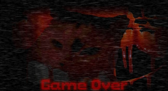 猫咪的五夜后宫1