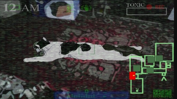 猫咪的五夜后宫3