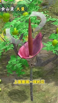 夺笋高手赶山游戏2