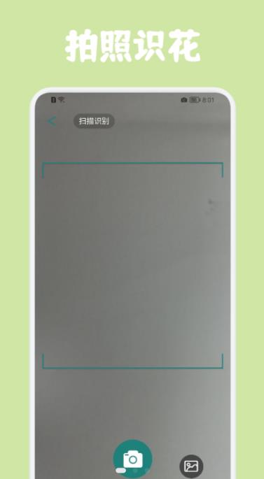 识花拍照帮2