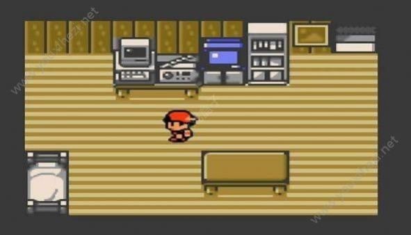 口袋妖怪心金随机版1