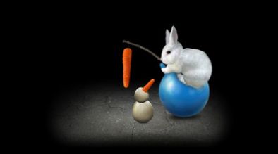 有丝分裂 有丝分裂