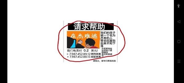 小猪佩奇之在杰难逃