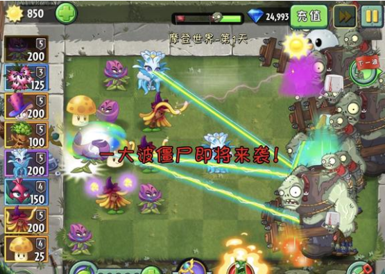 植物大战僵尸2魔法番红花