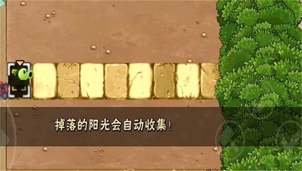植物大战僵尸H版1