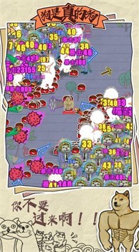 抖音狗是真的狗4