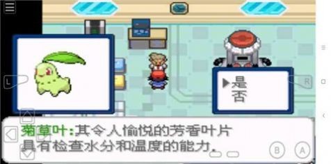 口袋妖怪去吧洛奇亚随机版2