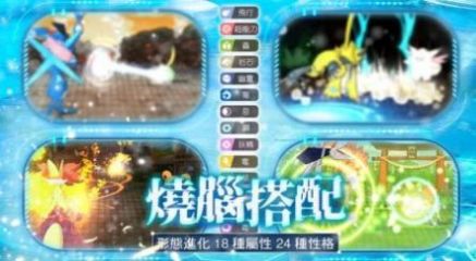 宠物欢乐冒险go1