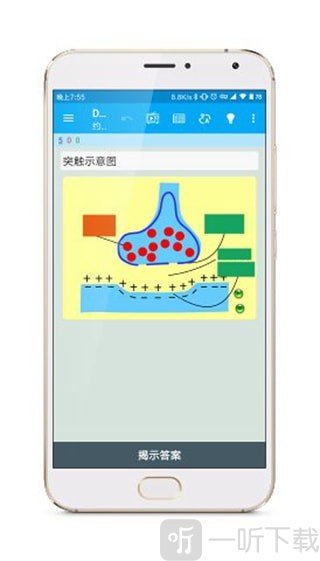 Anki涂鸦制卡1.3绿色版0