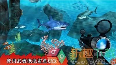 饥饿的巨齿鲨 饥饿的巨齿鲨