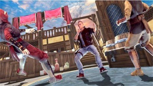 功夫空手道街头格斗2