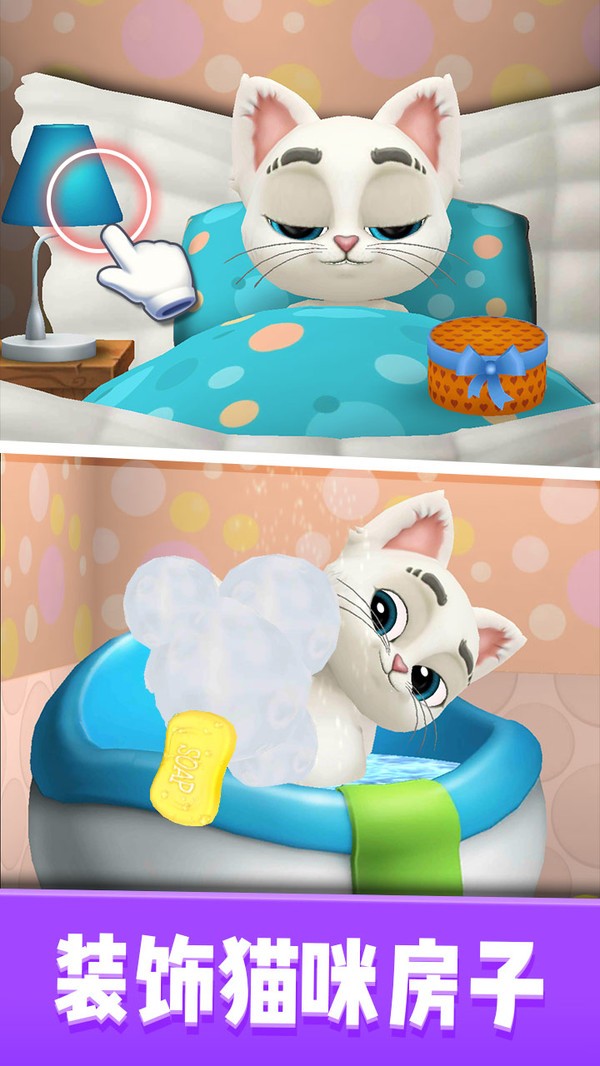 我的猫咪奥斯卡0