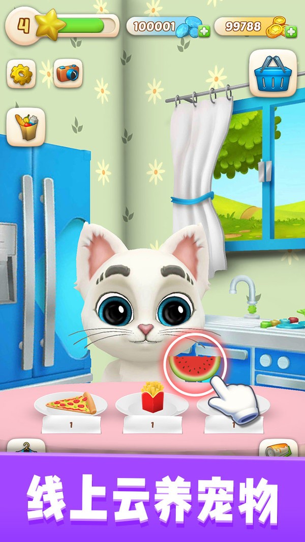 我的猫咪奥斯卡3