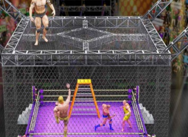 笼中摔跤比赛0