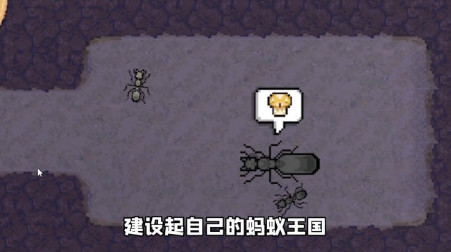 口袋蚂蚁模拟器小浪同款1